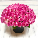 Букет из 101 розовой розы (Россия)